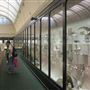 Australian Museum