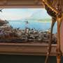 Australian Museum