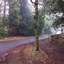 Mount Wilson Roads