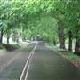 Mount Wilson Roads