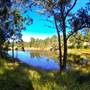 Charity Creek Green Acres