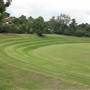 Bedlam Bay Oval adjacent to Gladesville Hospital - Field and River