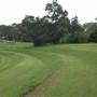 Bedlam Bay Oval adjacent to Gladesville Hospital - Field and River