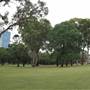 Old Government House