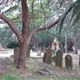 Newtown Cemetery