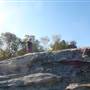 Middle Head Fortifications