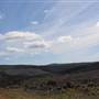 Jenolan State Forest - Logged Area