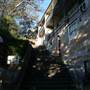 Agar Steps - Millers Point