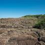 Bombo Headland Quarry