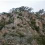 Goulburn Escarpment