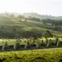Southern Highlands