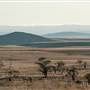 Monaro Plains