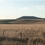 Monaro Plains