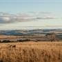 Boco Rock Wind Farm