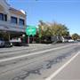 Temora