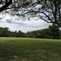 Centennial Park