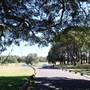 Centennial Park - Loch Ave South