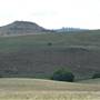 Monaro Plains