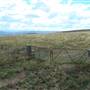 Monaro Plains