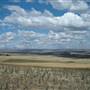 Monaro Plains