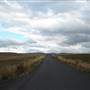 Monaro Plains
