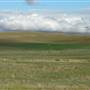 Monaro Plains