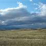 Monaro Plains