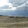 Monaro Plains