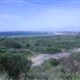 Cronulla Sand Dunes