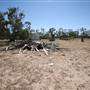 Bindara Station on the Darling - Period Homestead & Outbuildings