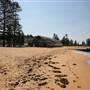 Collaroy Beach