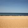 Collaroy Beach