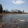 Dee Why Beach and Surrounds