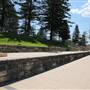 Dee Why Beach and Surrounds