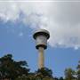 Barangaroo Reserve