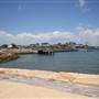 Barangaroo Reserve