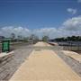 Barangaroo Reserve