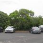 Bilgola Plateau neighbourhood