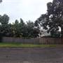Mona Vale neighborhood