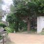 Manly Vale Neighbourhood