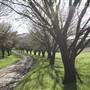 Private House - Crookwell
