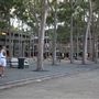 Macquarie University