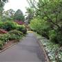 Royal Botanic Garden Sydney