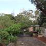 Royal Botanic Garden Sydney