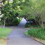 Royal Botanic Garden Sydney