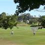 St Ignatius College, Riverview - Grounds/Sportsfields