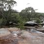 Wattamolla Beach