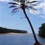 Wattamolla Beach