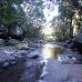 Minnamurra Rainforest Walk - Budderoo National Park