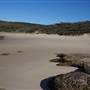Munmorah State Conservation Area